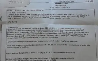 Velká šance pro bojovnici Kačku