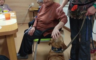 Canisterapie CANTES v krajích ČR jako sociální rehabilitace