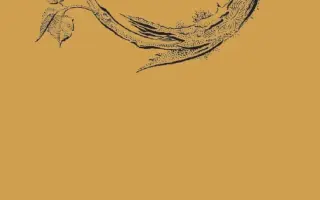 Vydejte s námi knihu o adaptogenech a objevte tajemství vitality a dlouhověkosti