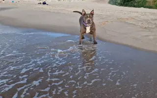 Pomozme Ele opět poznávat svět