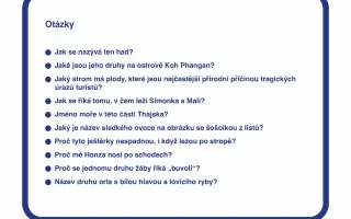 PAN PES TEKI pravdivý příběh světoběžníka. Podpořte knihu (nejen) pro děti.
