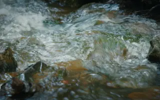 Podpořte film PORTRÉT VODY v cílové rovince!