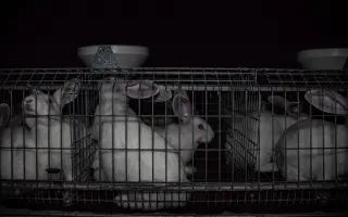 Pomůžete Arymu zachránit život?