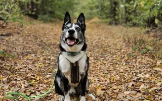 Život bez bolesti pro Mildu
