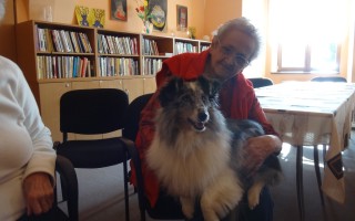 Canisterapie CANTES v krajích ČR jako sociální rehabilitace