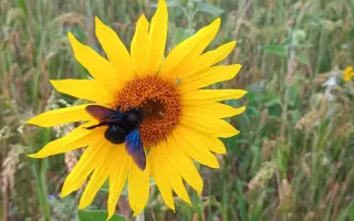 Zvelebování Ptačího koutku v roce 2026 -pro ptáky i pro lidi