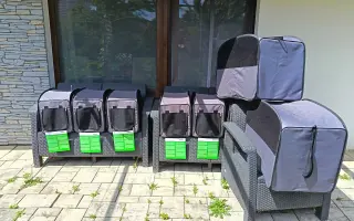 Mláďata na jaře, ostatní zvířata celoročně - ti všichni nás potřebují!