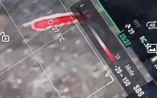 Zachraňme srnčata včas