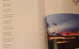 Pomozme handicapované umělkyni