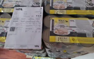 POMOC PRO FOXÍČKA, ASPENA A TAFFY-JACKA