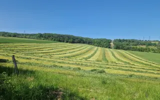 ZACHRAŇ SRNČATA PŘED BŘITY ŽACÍHO STROJE