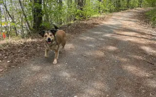 Pomozte Mii znovu vidět svět 🌸