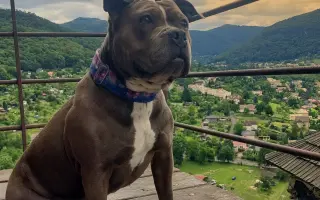 Pomozme Ele opět poznávat svět