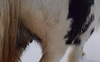 Tami ❤️ a její léčba, která nebere konce