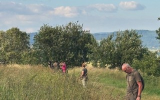 Zbytečná a krutá smrt ukrytá v trávě