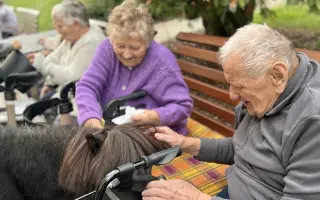 Krmení a seno pro zachráněná zvířata