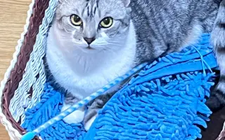 Daisy bojuje o život. Pomozme jí znovu dýchat