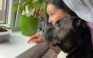 Pomozte Hance zvládnout život s roztroušenou sklerózou