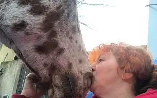 Pomozme zachovat Dvůr poslední šance