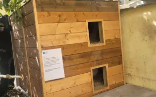 Šance na život pro Ouška a další kočičky z našeho depozita