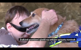 Canisterapie CANTES v krajích ČR jako sociální rehabilitace