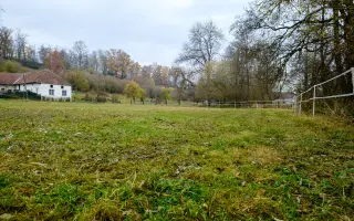 Pomozte nám postavit trojbox pro ustájení hiporehabilitačních koní DORADO z. s.