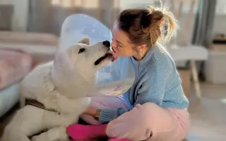 Dvě kolínka pro Oriho. Pomozte Orimu na tlapky