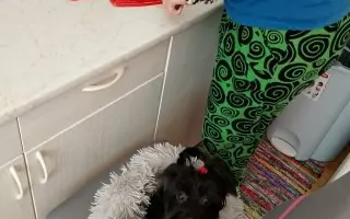 Pomohli jste Orny podstoupit život zachraňující operaci