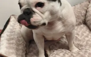 Zachráňte Marilyn bojující s rakovinou