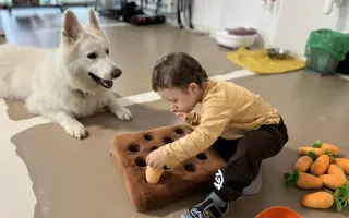 Canisterapeutický pobyt pro Dominička