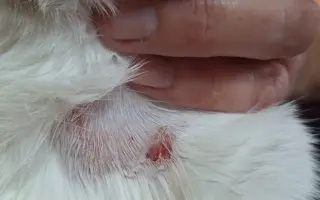 9 nalezených Lásek