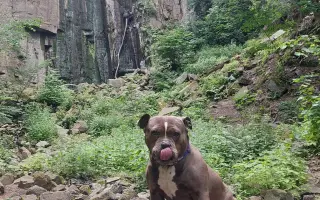 Pomozme Ele opět poznávat svět