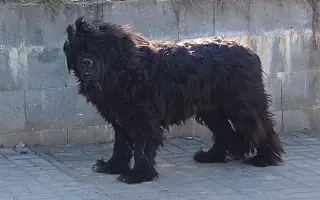Pomozte Arissce v boji s rakovinou