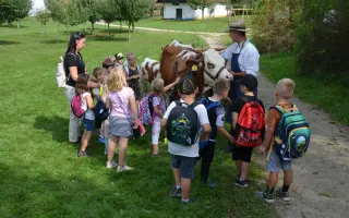 Podpořte pořízení nových chomoutů a postrojů pro kravičku Matyldu