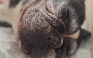 10 let nestačí – pomozme Mailovi dál❤️