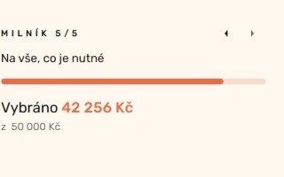 Milovaná teta bojující s rakovinou, která přišla nečekaně o manžela