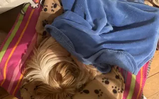 Prosím o pomoc pro našeho Huberta