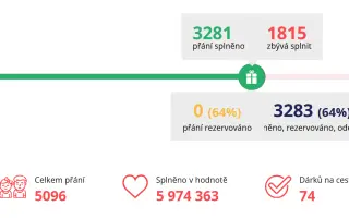 Daruj hračku ve prospěch dětí a lidí s různými handicapy