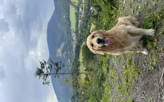 Kroky, které nebolí: Mauriho 4.bitva