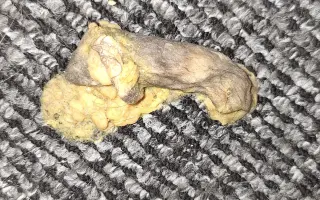 9 nalezených Lásek