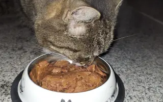 8 nalezených Lásek