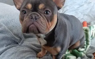 Pomozte Jasmínce běhat bez bolesti ❤️