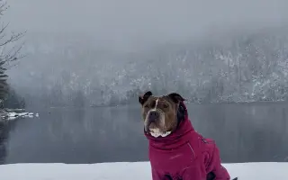 Pomozme Ele opět poznávat svět