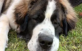 Podpořte festival PoFanKoN