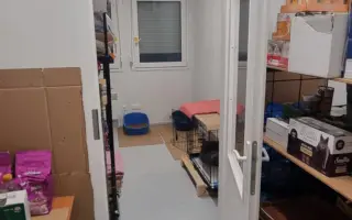Z ulice do bezpečí - financování péče pro opuštěné kočky