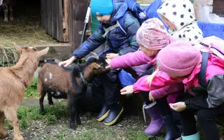 Pomozte❤️ Srdce pro zvířata - naděje pro opuštěné