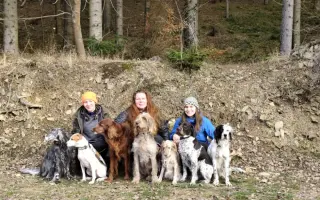 Pomoc pro Renny a její smečku: pohyb bez bolesti