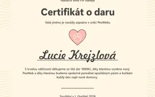 Pomozte nám vytvořit nový PesWeb.cz — domov pro tisíce opuštěných psů a koček