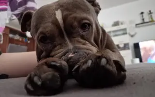 Pomozme Ele opět poznávat svět