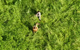 Šance pro mláďata divoce žijící zvěře